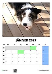 Fotokalender monatlich