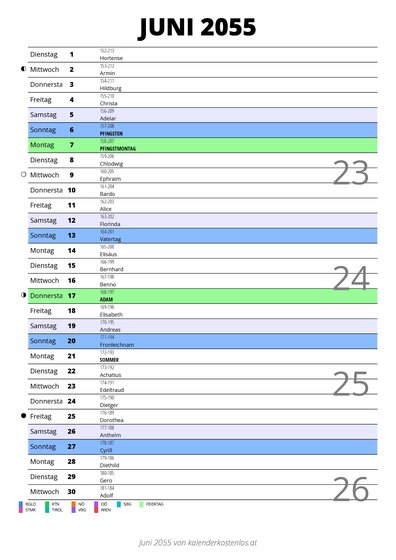 Kalender Juni 2055 im Hochformat mit Notizbereich